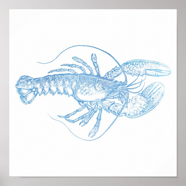 Póster Lobster azul (Frente)