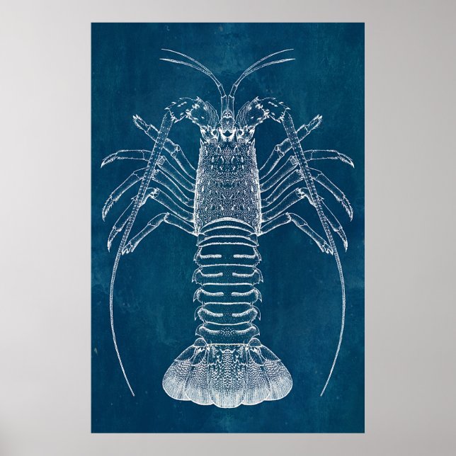 Póster Lobster Blueprint (Frente)