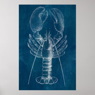 Póster Lobster Blueprint