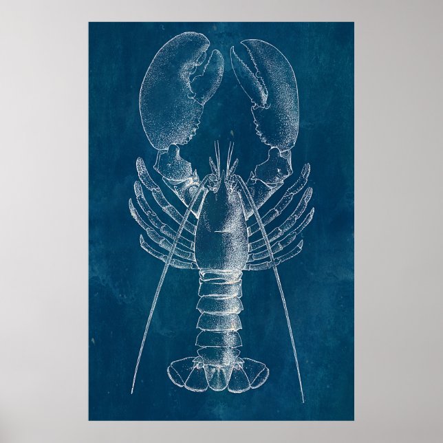 Póster Lobster Blueprint (Frente)