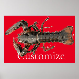 Póster Lobster de Maine fresco Thunder_Cove