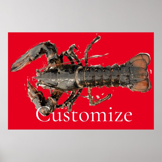 Póster Lobster de Maine fresco Thunder_Cove (Frente)