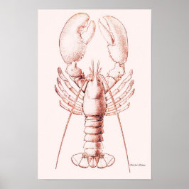 Póster Lobster Poster ~ American Lobster