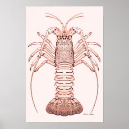 Póster Lobster Poster ~ Rock Lobster