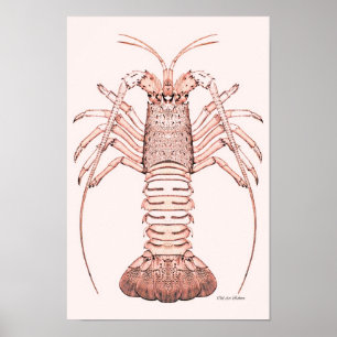 Póster Lobster Poster ~ Rock Lobster
