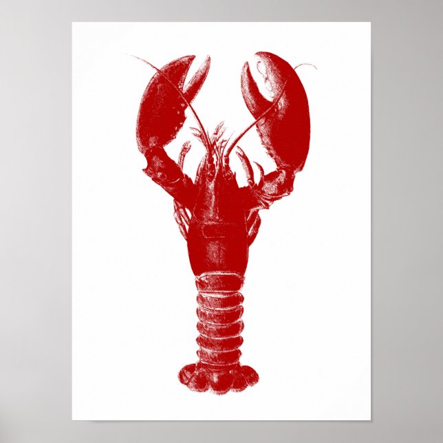 Póster Lobster rojo profundo sobre blanco (Frente)