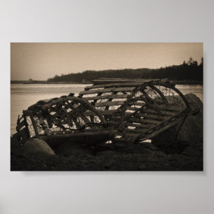 Póster Lobster Traps Sepia