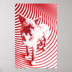 Póster loca hazie