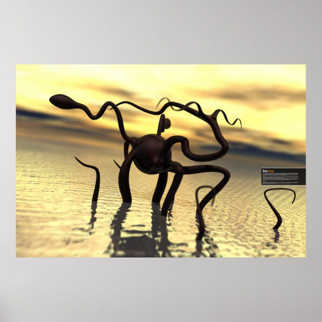 Póster ¡Loch Ness Monster! (monstruo del agua) (Frente)