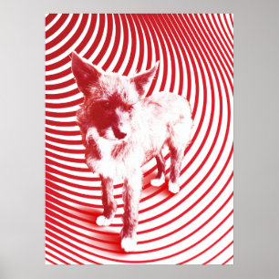 Póster loco hazni