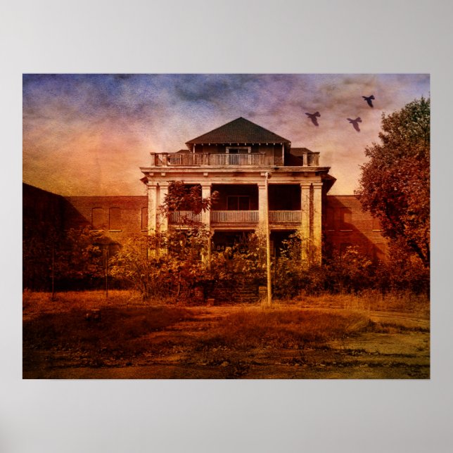 Póster Locura Creativa-Asilo (Frente)