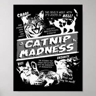 Póster Locura de hierba gatera Gatito lindo Gato divertid