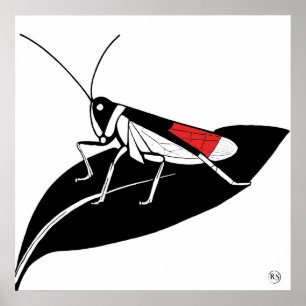 Póster Locust On A Leaf - Imágenes De Archivos