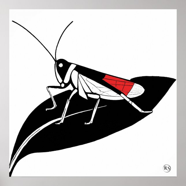 Póster Locust On A Leaf - Imágenes De Archivos (Frente)