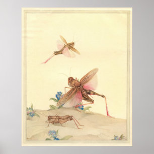 Póster LOCUSTS ITALIANOS - Ilustracion de libros de insec