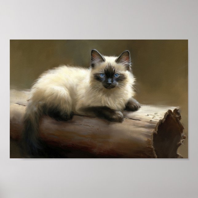 Póster Log Lounger Siamese Kitten (Frente)