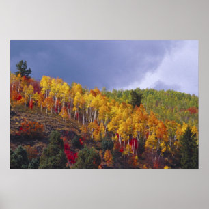 Póster Logan Canyon en Utah en otoño con tormenta pasajer