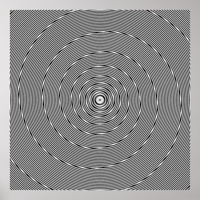 Póster Logarithmic and Linear Spiral combo var 2 (Frente)