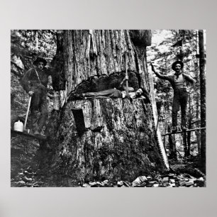 Póster LOGGING CANADÁ c. 1890