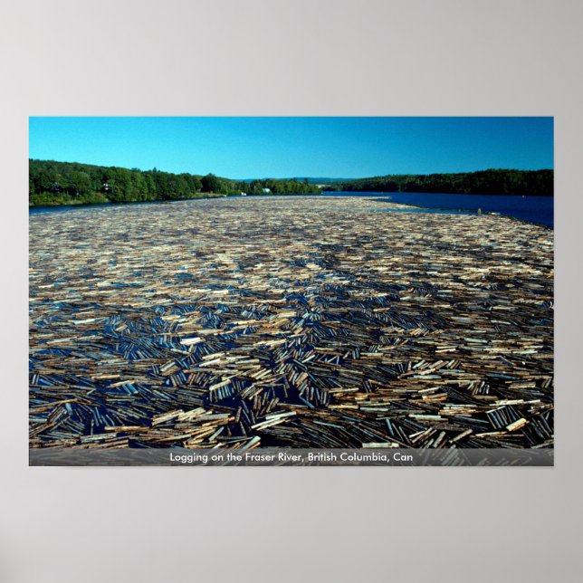 Póster Logging on the Fraser River, British Columbia, Can (Frente)