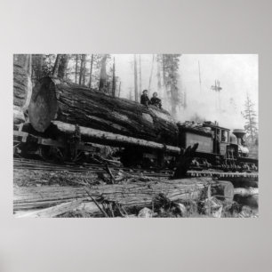 Póster Logging Train carrying men and