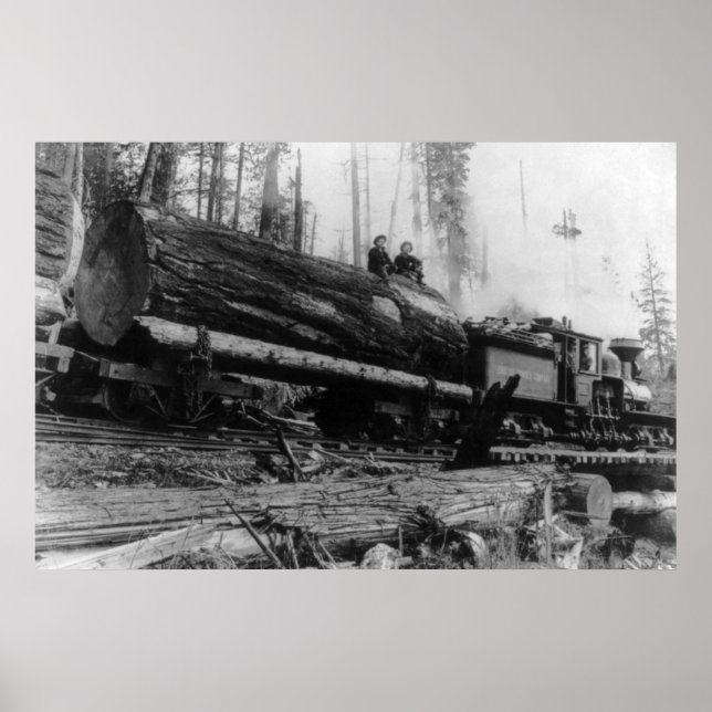 Póster Logging Train carrying men and (Frente)