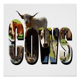 Póster Logo De Fotografía De Vacas Con Vacas,
