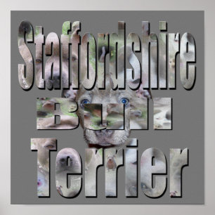 Póster Logo de la imagen de Staffordshire Bull Terrier,