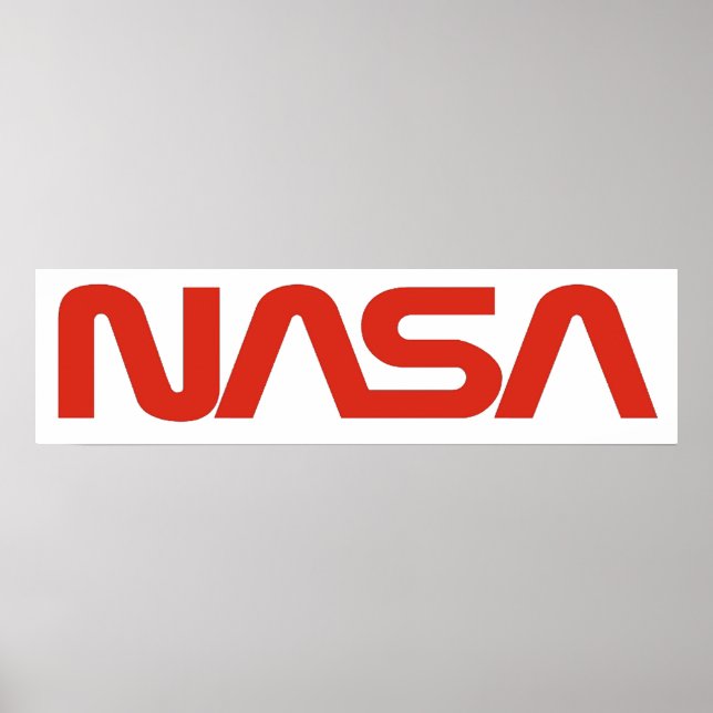 Póster Logo de la NASA Worm (Serpiente) (Frente)