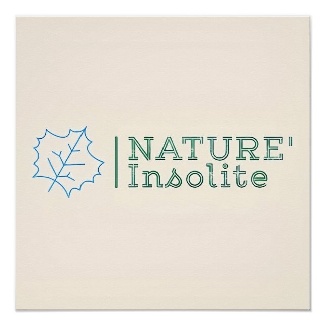 Poster : logo officiel de l'émission (Anverso)