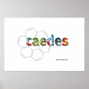 Póster Logotipo Caedes.net