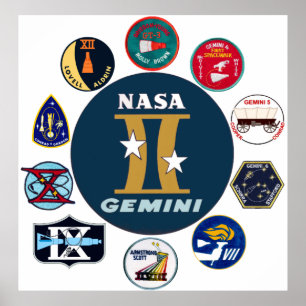 Póster Logotipo conmemorativo de los géminis