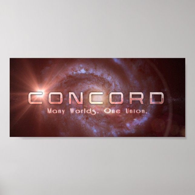 Póster Logotipo de concordancia (10x4.5) (Frente)