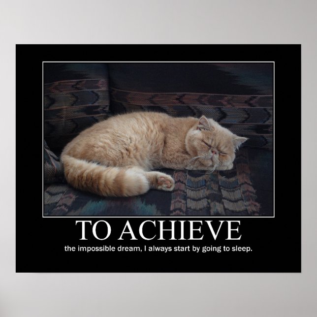 Póster Lograr el imposible trabajo de un gato ensueño (Frente)