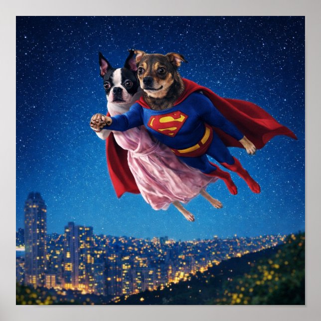 Póster "Lois & Kal" (Frente)