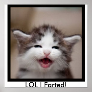 Póster ¡LOL I Farted!