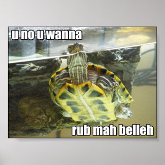 Póster LOL-tortuga - rub mah belleh