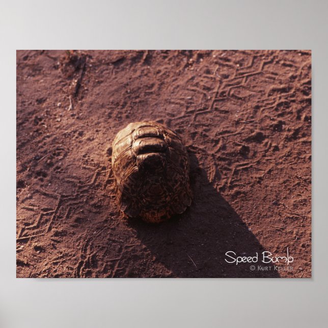 Póster Lomada (Frente)