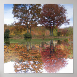 Póster Lona de las reflexiones