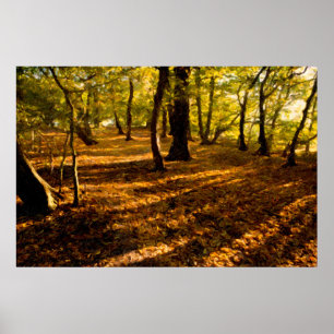 Póster London Woods