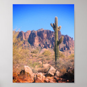 Póster Lone Cactus Poster