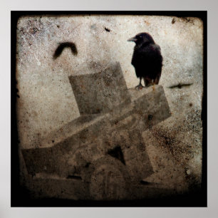 Póster Lone Crow