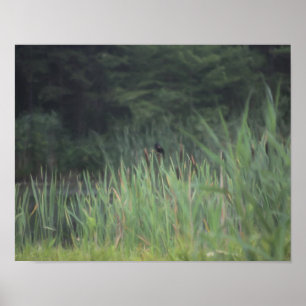 Póster Lone Red Winged Blackbird Painting Nature