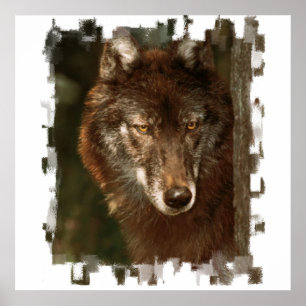 Póster Lone Wolf Poster