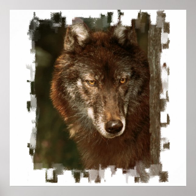 Póster Lone Wolf Poster (Frente)