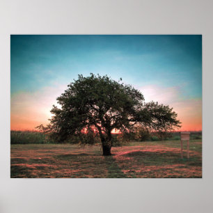 Póster Lonely pear tree