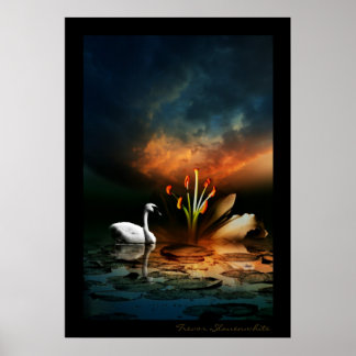 Póster Lonely Swan