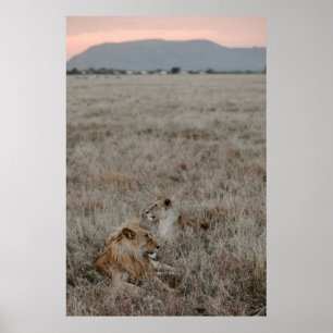 PÓSTER LONES EN EL CAMPO DE GRASA MARRÓN DURANTE EL DÍA