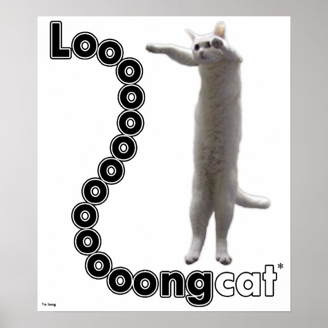 Póster Longcat es largo (Frente)