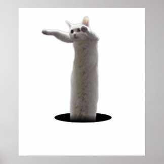 Póster LongCat interdimensional
